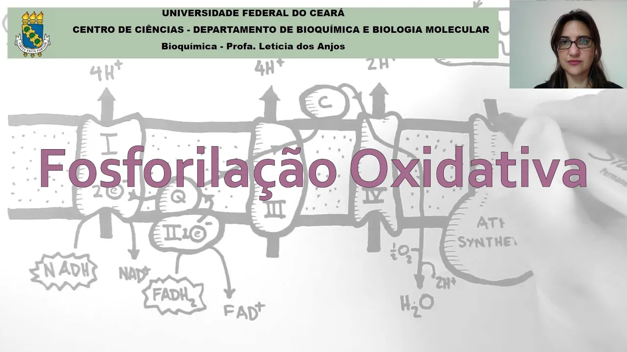 Bioquímica - Aula 9 - Fosforilação Oxidativa