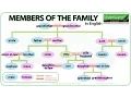 Download Lagu Members of the Family in English | Learn English Vocabulary | Family Tree in English