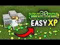 EASIEST XP FARM in Minecraft Bedrock READ COMMENTS
