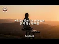 lao shu ai da mi (老鼠爱大米) Cover Wang Binbin 王濱濱 - Lirik Lagu / Lyrics ( Yang Chengang 杨臣刚 )