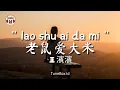 Download Lagu lao shu ai da mi (老鼠爱大米) Cover Wang Binbin 王濱濱 - Lirik Lagu / Lyrics ( Yang Chengang 杨臣刚 )