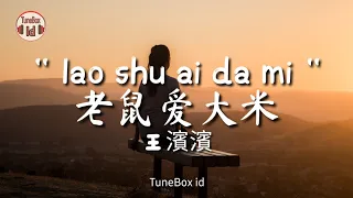 Download lao shu ai da mi (老鼠爱大米) Cover Wang Binbin 王濱濱 - Lirik Lagu / Lyrics ( Yang Chengang 杨臣刚 ) MP3