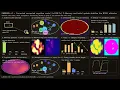 Can Cognition Emerge from Electromagnetic Fields EMBRAIN v3