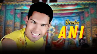 brodin ani new pallapa best compilation