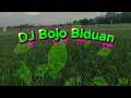 Download Lagu DJ, Bojo Biduan