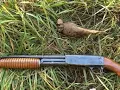 Ithaca mod 37 pump Featherlight 12 ga Gary J