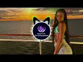 Download Lagu Stolen Love (Sage Remix) 2025
