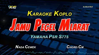 jamu pegel mlarat karaoke koplo versi fendik ft difarina cipt poer brigade u0026 iyon nirwana