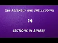 x86 Assembly and Shellcoding - 14 Sections
