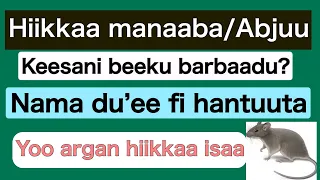 Manaaba Keesati Nama Du E Fi Hantuuta Yoo Argan Hiikkaan Isaa Maali  Manaaba Keesati Nama Du E Fi Hantuuta Yoo Argan Hiikkaan Isaa Maali