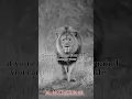 Download Lagu if you can change your mind #motivational #quotes #youtubeshorts #shortfeed #attitude #status