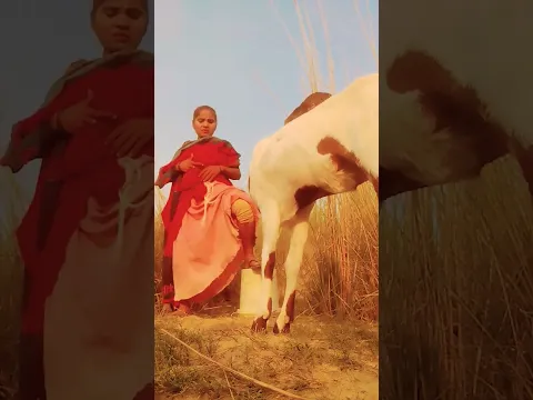#animals