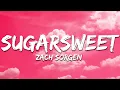 Download Lagu Zach Sorgen - Sugarsweet (Lyrics)