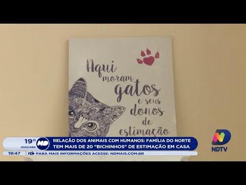 Relação dos animais com humanos: Família do norte de SC tem mais de 20 animais de estimação