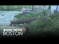 Macroburst brings down dozens of trees in Springfield Massachusetts