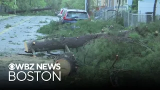 Macroburst brings down dozens of trees in Springfield Massachusetts