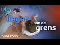 Au-pairbureau moedigt jonge vrouwen aan de wet te overtreden