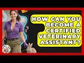 How Can You Become a Certified Veterinary Assistant Animal Care Jobs