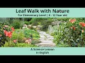 Structure of a Leaf and its Functions - Montessori Botany Lesson with Nature Walk Elementary Level
