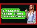 Is Yellow Fever Virus Contagious? - Biology For Everyone