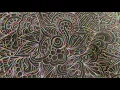 Graffiti Quilting Wholecloth Stitchout