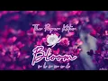 The Paper Kites - Bloom // S L O W E D