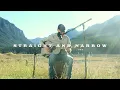 Download Lagu Sam Barber - Straight and Narrow