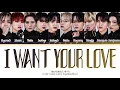 Download Lagu TREASURE(트레저) -  I Want Your Love || Color Coded Lyrics Eng/Rom/Han