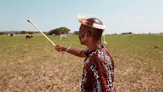 sphuzo sabantwana ziphinkomo official music video