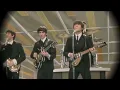 The Beatles Norwegian Wood (This Bird Has Flown) - with lyrics
