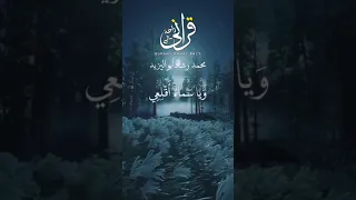 وقيل يا أرض ابلعي ماءك ويا سماء أقلعي وغيض الماء وقضي الأمر واستوت على الجودي سورة هود الاية 44 