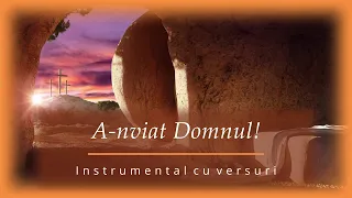 a nviat domnul negativ instrumental cu versuri 