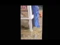 At pumpkin patch October 2015