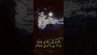 يا اصحابنا مكثرين الضرب والطعناويش حالكم طيبين الله يمنعكم  يا اصحابنا مكثرين الضرب والطعناويش حالكم طيبين الله يمنعكم