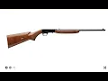 Browning SAS Grade 1 first shots and review Will it cycle cci quiet 22