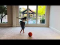 Plano ISD 2025 PTA Reflections - I Belong Dance Choreography 1st Grade