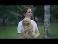 Poodle Rescue And Adoption How You Can Help