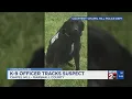 With K-9 s help officers arrest man with multiple active warrants