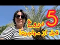 Download Lagu ۵ دروغ بزرگی که قبل مهاجرت بهم گفتن! | واقعیت‌هایی که هیچ‌کس نمی‌گه!