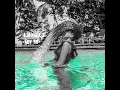 mrs Sippy best beach club in bali part 1