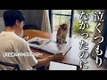 Download Lagu 【見なきゃよかった】あの頃の家族にはもう戻れない(no.424)