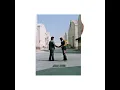 Shine On You Crazy Diamond (Pts. 6-9)