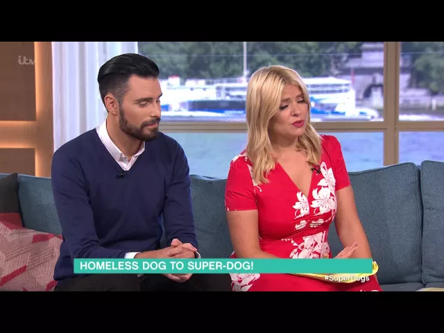Homeless Dog To Super-Dog! | This Morning