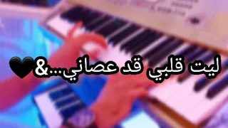 عزف ليت قلبي قد عصاني مع الكلمات 