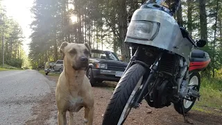 My New $900 Bike – Sink or Swim 155