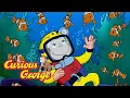 Look at all the Fish Curious George Kids Cartoon Kids Movies