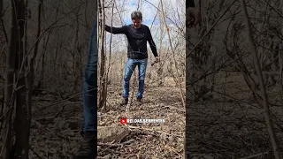 JIBOIA GIGANTE descoberta por sabiá do campo!