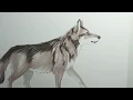 Coloring a Wolf with Copics