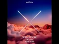 Whatever (with Ava Max) - Tiësto Remix - Kygo