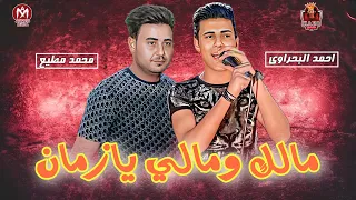 مالك ومالي يا زمان قولي   العيال كبرت علينا   احمد البحراوي   محمد مطيع      دندنها